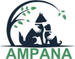 AMPANA